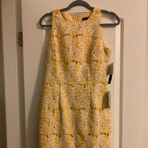 Beautiful lace dress new